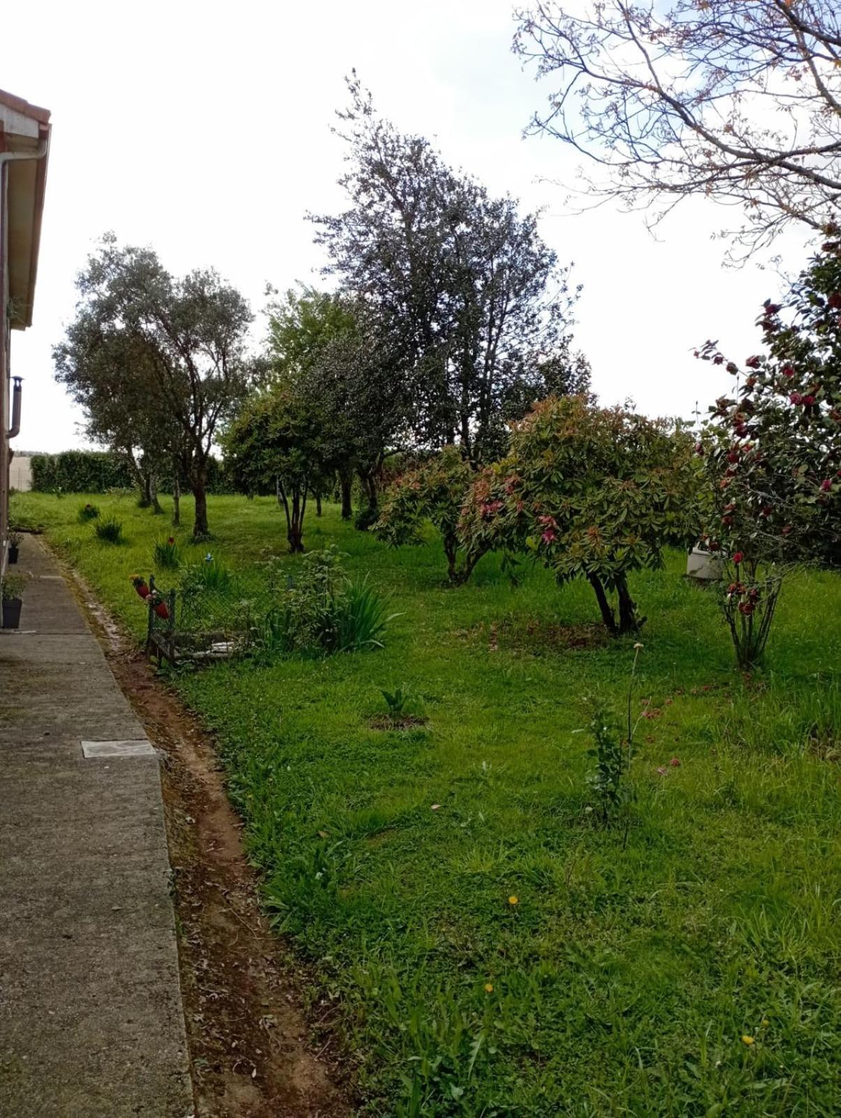 Apartamento A Casa Do San Paio De Buscas Ordes Exterior foto